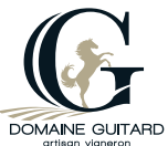 DOMAIN-GUITARD